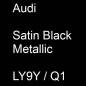 Preview: Audi, Satin Black Metallic, LY9Y / Q1.